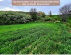 Uşak Banaz Kızılhisar'da Köy ve Doğa Manzaralı 1.000 m2 Çok Güzel Bahçe. Açıklamayı Okuyunuz
