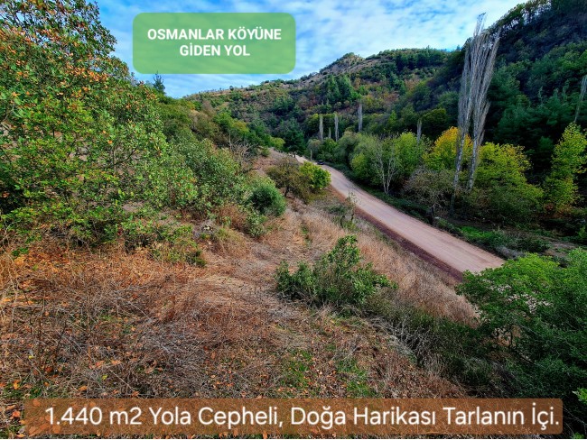 Balıkesir Sındırgı Osmanlar'da 1.440 m2 Yola Cepheli Kupon Tarla. Açıklamayı Okuyarak Arayınız.