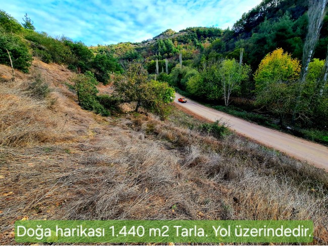 Balıkesir Sındırgı Osmanlar'da 1.440 m2 Yola Cepheli Kupon Tarla. Açıklamayı Okuyarak Arayınız.