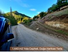 Balıkesir Sındırgı Osmanlar'da 1.440 m2 Yola Cepheli Kupon Tarla. Açıklamayı Okuyarak Arayınız.