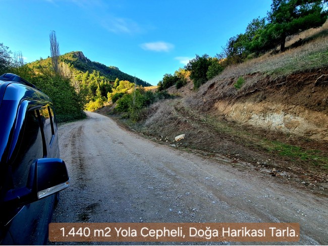 Balıkesir Sındırgı Osmanlar'da 1.440 m2 Yola Cepheli Kupon Tarla. Açıklamayı Okuyarak Arayınız.