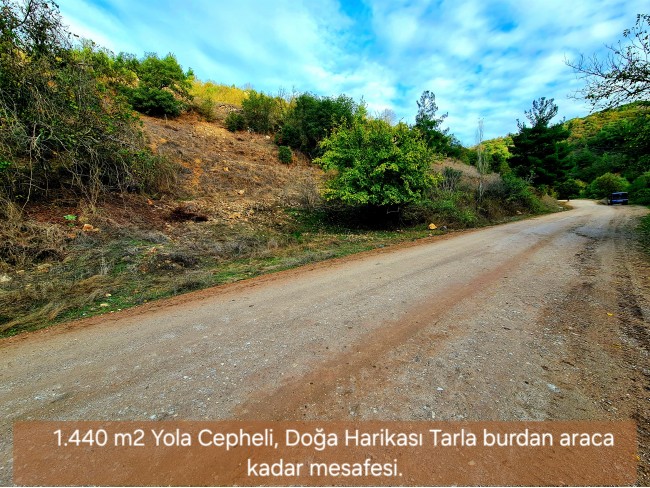 Balıkesir Sındırgı Osmanlar'da 1.440 m2 Yola Cepheli Kupon Tarla. Açıklamayı Okuyarak Arayınız.