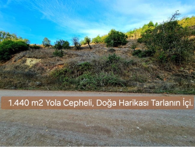 Balıkesir Sındırgı Osmanlar'da 1.440 m2 Yola Cepheli Kupon Tarla. Açıklamayı Okuyarak Arayınız.