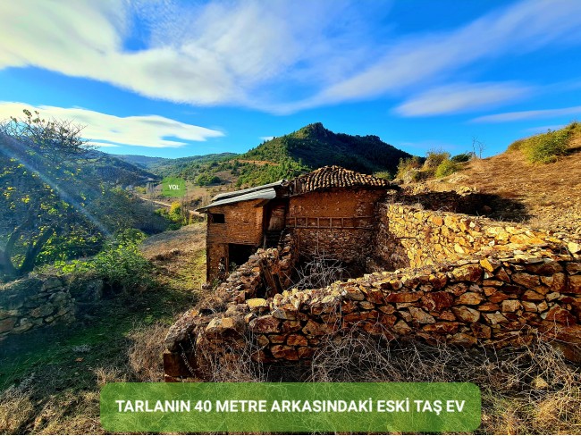 Balıkesir Sındırgı Osmanlar'da 1.440 m2 Yola Cepheli Kupon Tarla. Açıklamayı Okuyarak Arayınız.