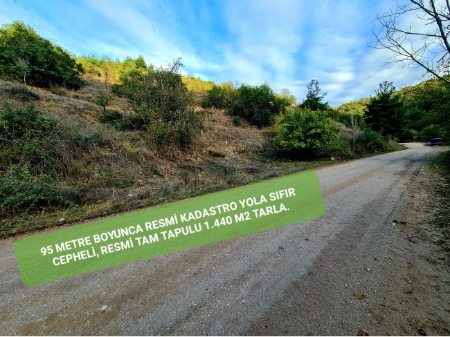 Balıkesir Sındırgı Osmanlar'da 1.440 m2 Yola Cepheli Kupon Tarla. Açıklamayı Okuyarak Arayınız.