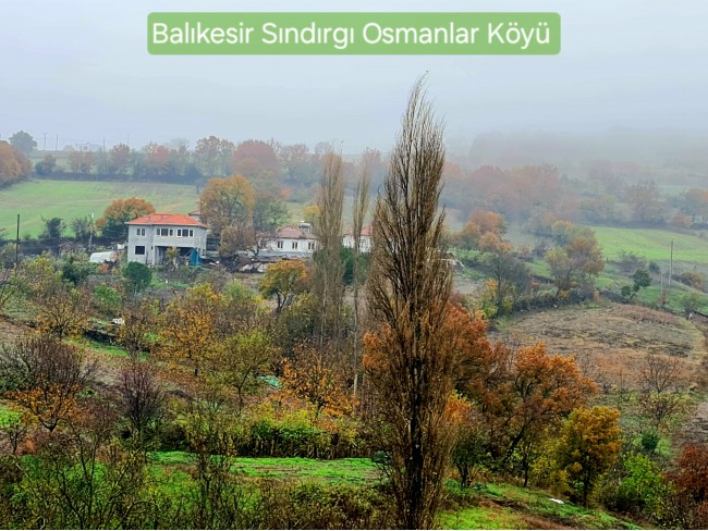 Balıkesir Sındırgı Osmanlar'da 1.440 m2 Yola Cepheli Kupon Tarla. Açıklamayı Okuyarak Arayınız.