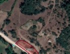 Balıkesir Sındırgı Osmanlar'da 1.440 m2 Yola Cepheli Kupon Tarla. Açıklamayı Okuyarak Arayınız.