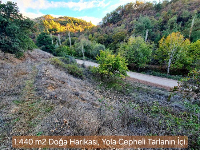 Balıkesir Sındırgı Osmanlar'da 1.440 m2 Yola Cepheli Kupon Tarla. Açıklamayı Okuyarak Arayınız.