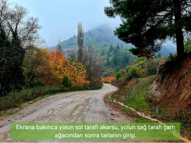 Balıkesir Sındırgı Osmanlar'da 1.440 m2 Yola Cepheli Kupon Tarla. Açıklamayı Okuyarak Arayınız.