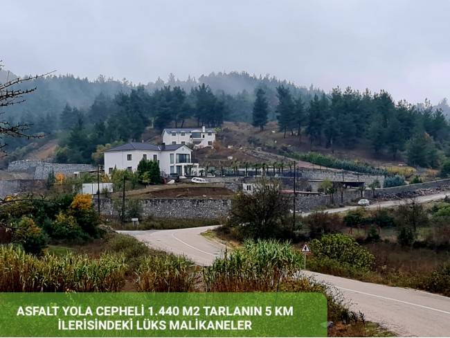 Balıkesir Sındırgı Osmanlar'da 1.440 m2 Yola Cepheli Kupon Tarla. Açıklamayı Okuyarak Arayınız.