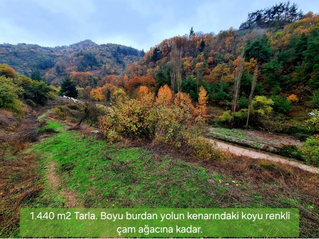 Balıkesir Sındırgı Osmanlar'da 1.440 m2 Yola Cepheli Kupon Tarla. Açıklamayı Okuyarak Arayınız.