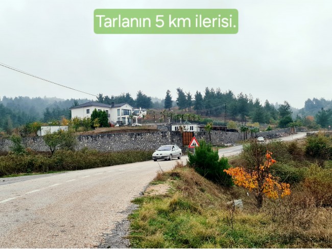 Balıkesir Sındırgı Osmanlar'da 1.440 m2 Yola Cepheli Kupon Tarla. Açıklamayı Okuyarak Arayınız.