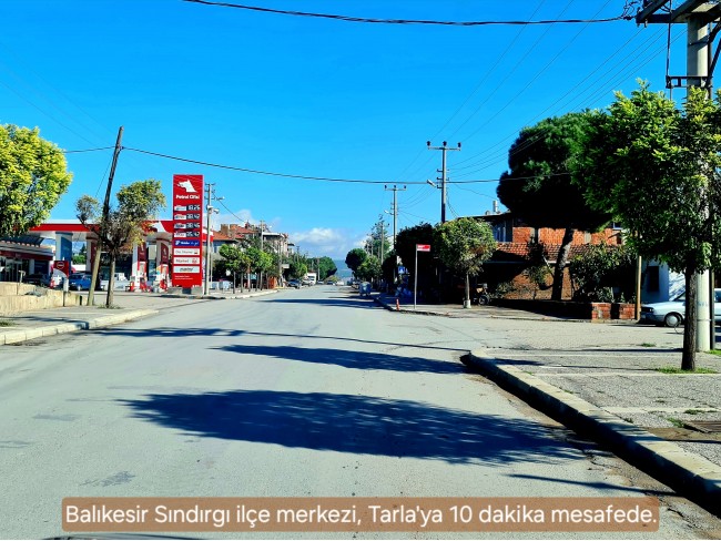 Balıkesir Sındırgı Osmanlar'da 1.440 m2 Yola Cepheli Kupon Tarla. Açıklamayı Okuyarak Arayınız.