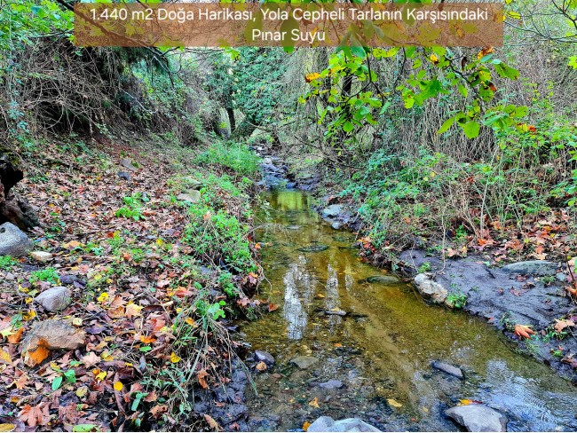 Balıkesir Sındırgı Osmanlar'da 1.440 m2 Yola Cepheli Kupon Tarla. Açıklamayı Okuyarak Arayınız.