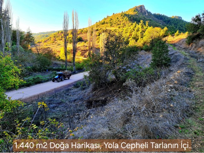 Balıkesir Sındırgı Osmanlar'da 1.440 m2 Yola Cepheli Kupon Tarla. Açıklamayı Okuyarak Arayınız.