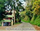 Trabzon Vakfıkebir İshaklı'da Denize Yakın 1.544 m2 Yola Cepheli Fındık Bahçesi. Açıklamayı Okuyunuz