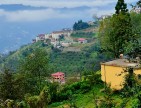 Trabzon Vakfıkebir İshaklı'da Denize Yakın 1.544 m2 Yola Cepheli Fındık Bahçesi. Açıklamayı Okuyunuz