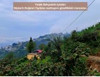 Trabzon Vakfıkebir İshaklı'da Denize Yakın 1.544 m2 Yola Cepheli Fındık Bahçesi. Açıklamayı Okuyunuz