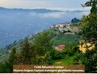 Trabzon Vakfıkebir İshaklı'da Denize Yakın 1.544 m2 Yola Cepheli Fındık Bahçesi. Açıklamayı Okuyunuz