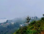 Trabzon Vakfıkebir İshaklı'da Denize Yakın 1.544 m2 Yola Cepheli Fındık Bahçesi. Açıklamayı Okuyunuz
