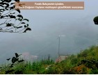 Trabzon Vakfıkebir İshaklı'da Denize Yakın 1.544 m2 Yola Cepheli Fındık Bahçesi. Açıklamayı Okuyunuz