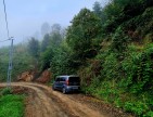 Trabzon Vakfıkebir İshaklı'da Denize Yakın 1.544 m2 Yola Cepheli Fındık Bahçesi. Açıklamayı Okuyunuz