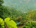 Trabzon Vakfıkebir İshaklı'da Denize Yakın 1.544 m2 Yola Cepheli Fındık Bahçesi. Açıklamayı Okuyunuz