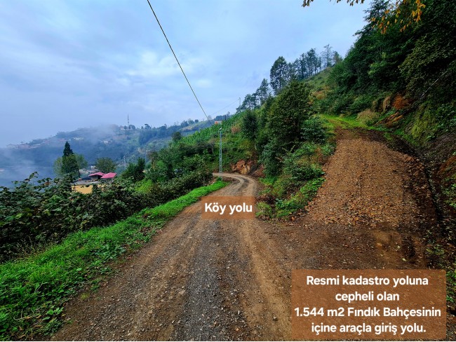 Trabzon Vakfıkebir İshaklı'da Denize Yakın 1.544 m2 Yola Cepheli Fındık Bahçesi. Açıklamayı Okuyunuz