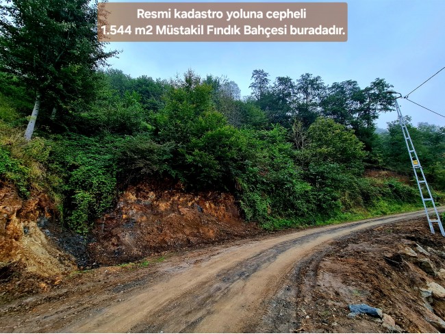 Trabzon Vakfıkebir İshaklı'da Denize Yakın 1.544 m2 Yola Cepheli Fındık Bahçesi. Açıklamayı Okuyunuz