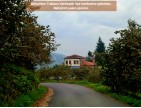 Trabzon Vakfıkebir İshaklı'da Denize Yakın 1.544 m2 Yola Cepheli Fındık Bahçesi. Açıklamayı Okuyunuz