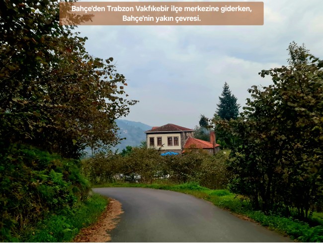 Trabzon Vakfıkebir İshaklı'da Denize Yakın 1.544 m2 Yola Cepheli Fındık Bahçesi. Açıklamayı Okuyunuz