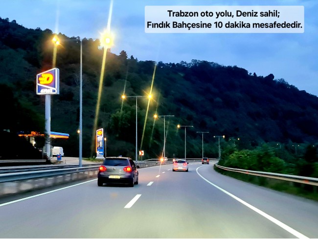 Trabzon Vakfıkebir İshaklı'da Denize Yakın 1.544 m2 Yola Cepheli Fındık Bahçesi. Açıklamayı Okuyunuz