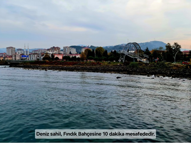 Trabzon Vakfıkebir İshaklı'da Denize Yakın 1.544 m2 Yola Cepheli Fındık Bahçesi. Açıklamayı Okuyunuz