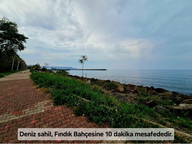 Trabzon Vakfıkebir İshaklı'da Denize Yakın 1.544 m2 Yola Cepheli Fındık Bahçesi. Açıklamayı Okuyunuz