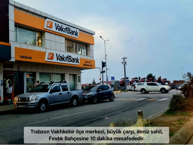 Trabzon Vakfıkebir İshaklı'da Denize Yakın 1.544 m2 Yola Cepheli Fındık Bahçesi. Açıklamayı Okuyunuz