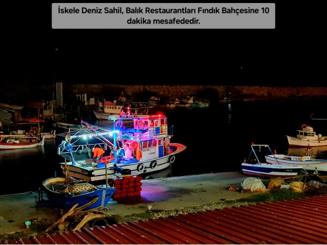 Trabzon Vakfıkebir İshaklı'da Denize Yakın 1.544 m2 Yola Cepheli Fındık Bahçesi. Açıklamayı Okuyunuz