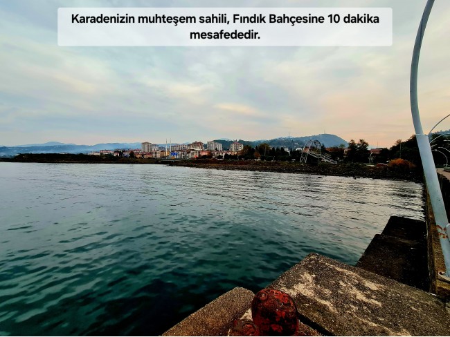 Trabzon Vakfıkebir İshaklı'da Denize Yakın 1.544 m2 Yola Cepheli Fındık Bahçesi. Açıklamayı Okuyunuz