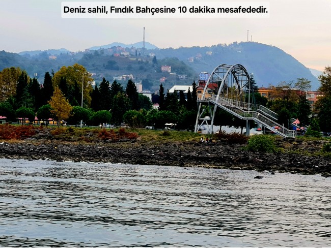 Trabzon Vakfıkebir İshaklı'da Denize Yakın 1.544 m2 Yola Cepheli Fındık Bahçesi. Açıklamayı Okuyunuz