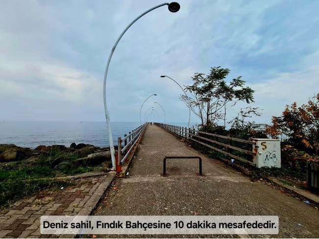 Trabzon Vakfıkebir İshaklı'da Denize Yakın 1.544 m2 Yola Cepheli Fındık Bahçesi. Açıklamayı Okuyunuz