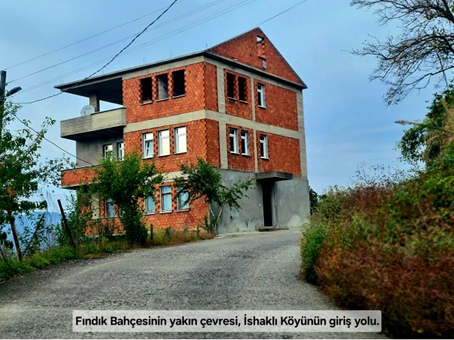 Trabzon Vakfıkebir İshaklı'da Denize Yakın 1.544 m2 Yola Cepheli Fındık Bahçesi. Açıklamayı Okuyunuz