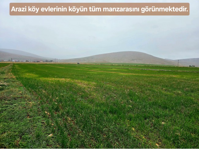 Afyon Emirdağ Leylekli'de 6.625 m2 Köy İçi, Çift Yola Cepheli Tarla. Açıklamayı Okuyarak Arayınız.