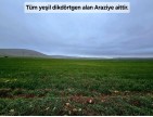 Afyon Emirdağ Leylekli'de 6.625 m2 Köy İçi, Çift Yola Cepheli Tarla. Açıklamayı Okuyarak Arayınız.