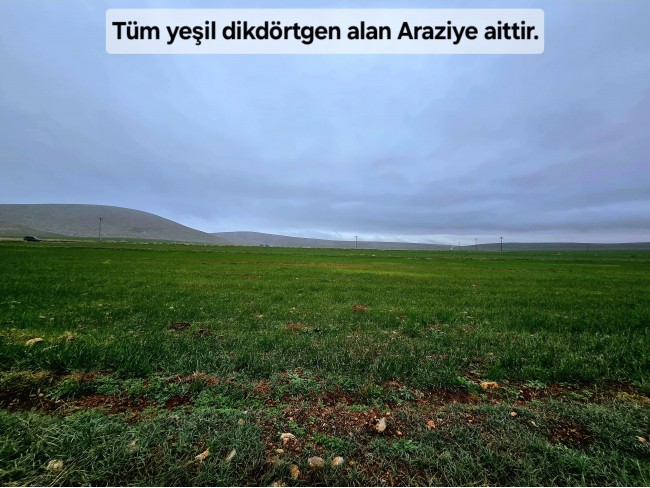 Afyon Emirdağ Leylekli'de 6.625 m2 Köy İçi, Çift Yola Cepheli Tarla. Açıklamayı Okuyarak Arayınız.