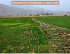 Afyon Emirdağ Leylekli'de 6.625 m2 Köy İçi, Çift Yola Cepheli Tarla. Açıklamayı Okuyarak Arayınız.