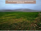 Afyon Emirdağ Leylekli'de 6.625 m2 Köy İçi, Çift Yola Cepheli Tarla. Açıklamayı Okuyarak Arayınız.
