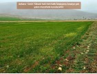 Afyon Emirdağ Leylekli'de 6.625 m2 Köy İçi, Çift Yola Cepheli Tarla. Açıklamayı Okuyarak Arayınız.