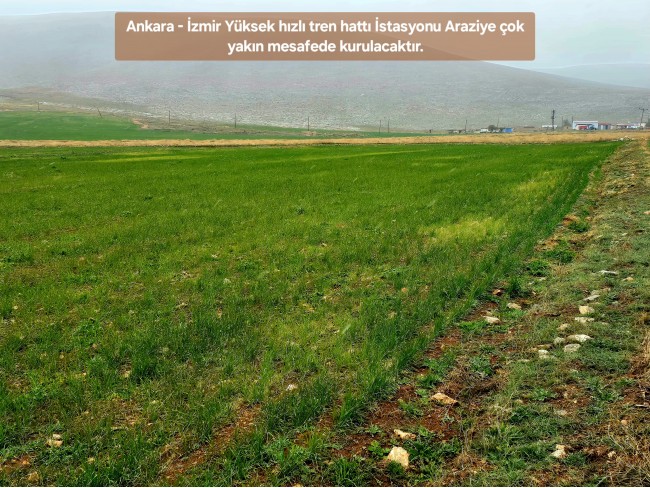 Afyon Emirdağ Leylekli'de 6.625 m2 Köy İçi, Çift Yola Cepheli Tarla. Açıklamayı Okuyarak Arayınız.