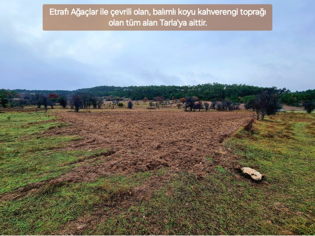 Balıkesir Dursunbey Alagüney'de 2.383 m2 Düz Uygun Tarla. Açıklamayı Okuyunuz.