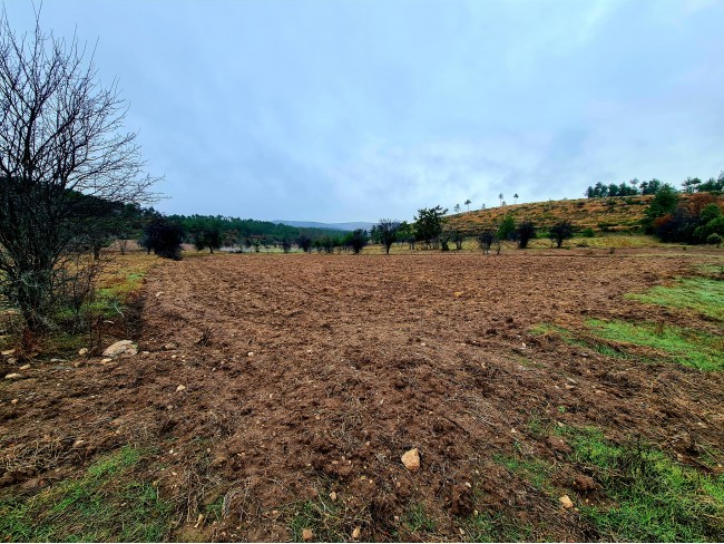 Balıkesir Dursunbey Alagüney'de 2.383 m2 Düz Uygun Tarla. Açıklamayı Okuyunuz.