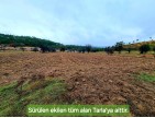 Balıkesir Dursunbey Alagüney'de 2.383 m2 Düz Uygun Tarla. Açıklamayı Okuyunuz.
